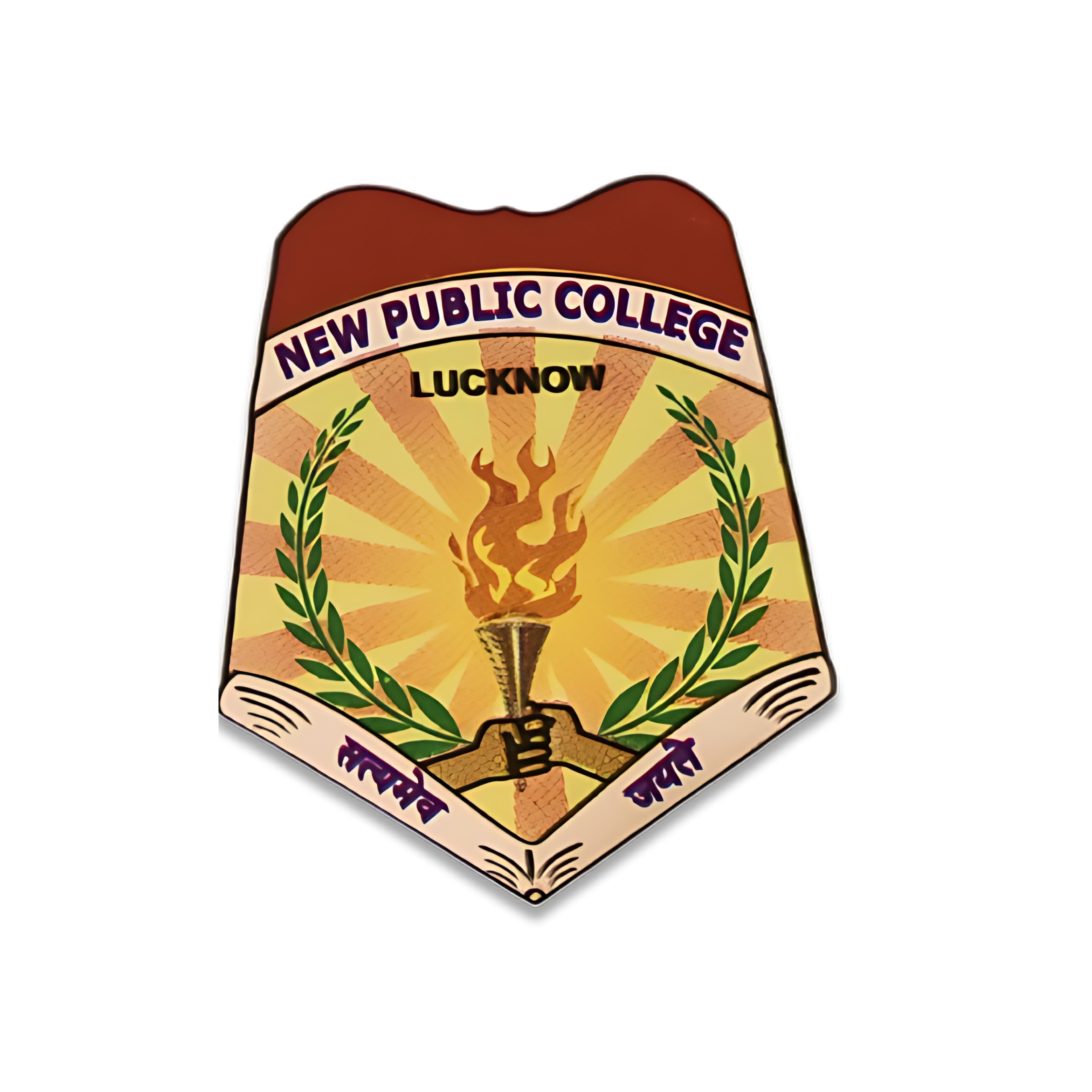 New Public College Logo